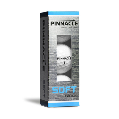 pinnacle-soft-2017_1